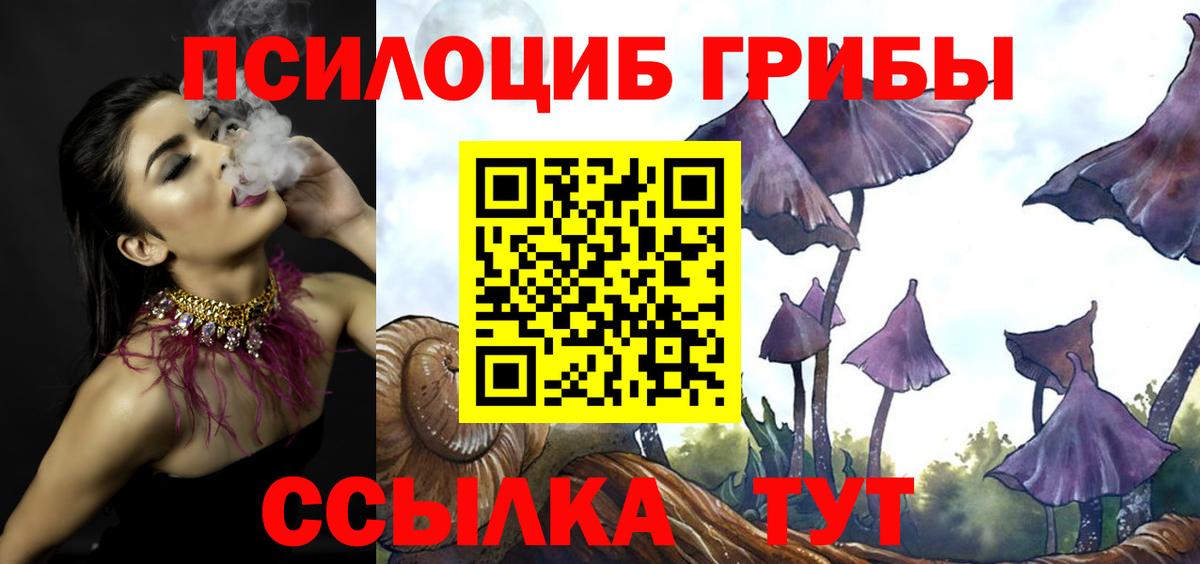Псилоцибиновые грибы прущие грибы  Вход с VPN  Искитим 