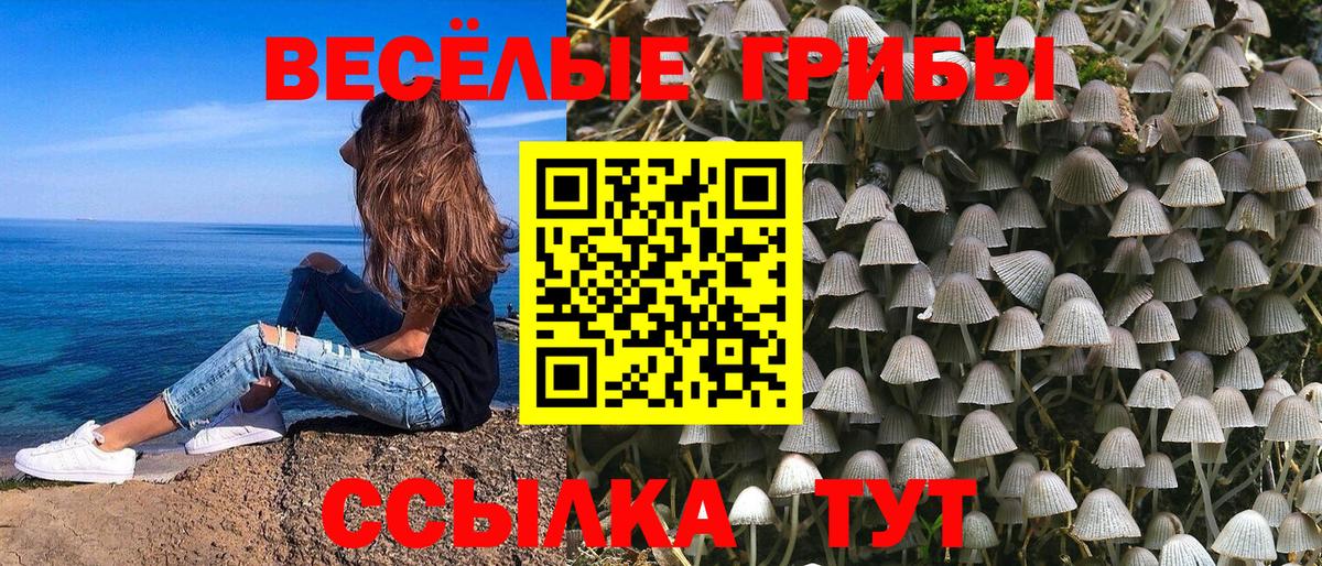 Галлюциногенные грибы прущие грибы Искитим